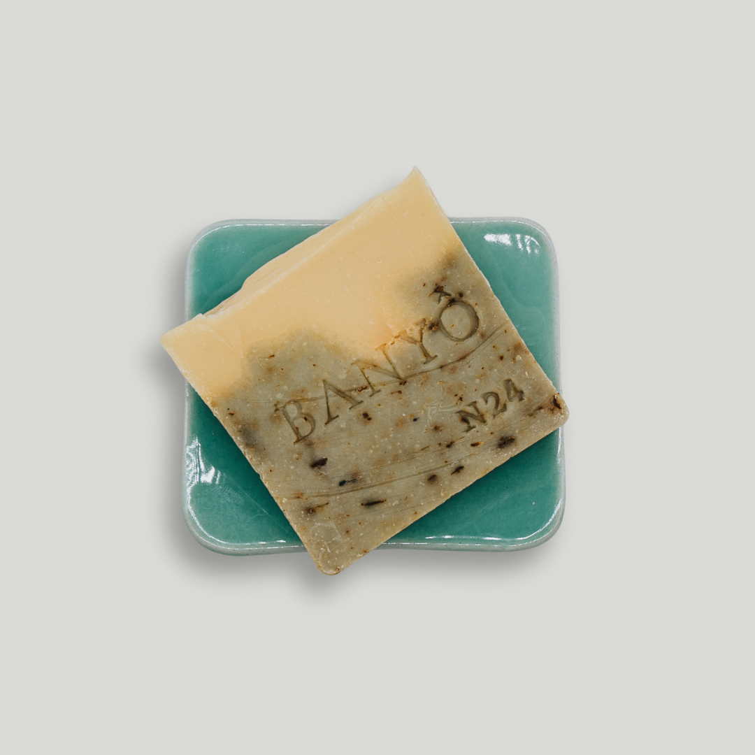 N24 Eselsmilch & Seemoos Seife