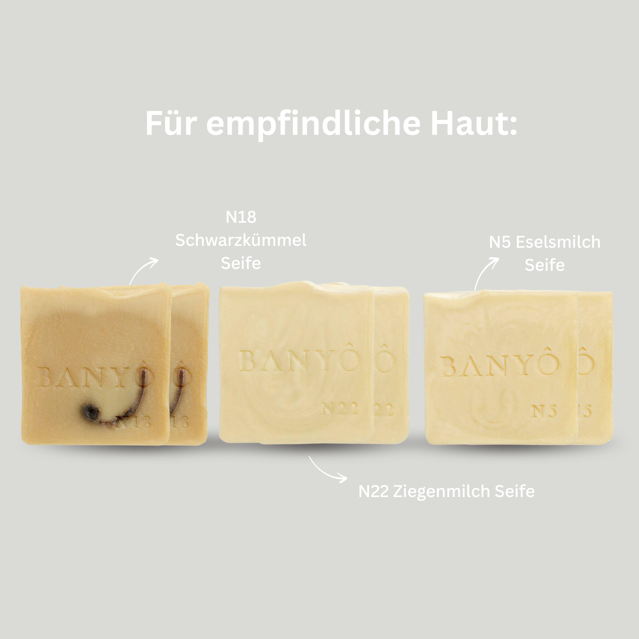 Kaufe 4 + 2 geschenkt!