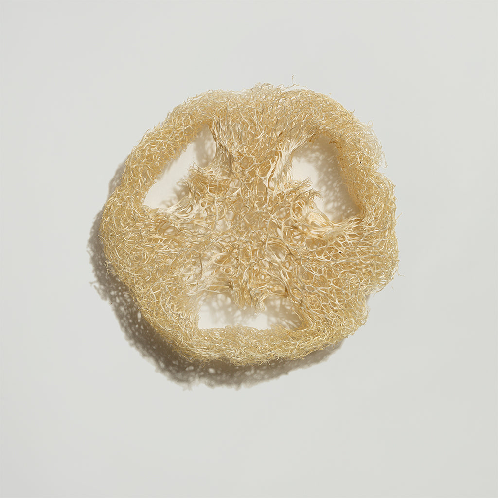 Luffa Schwamm