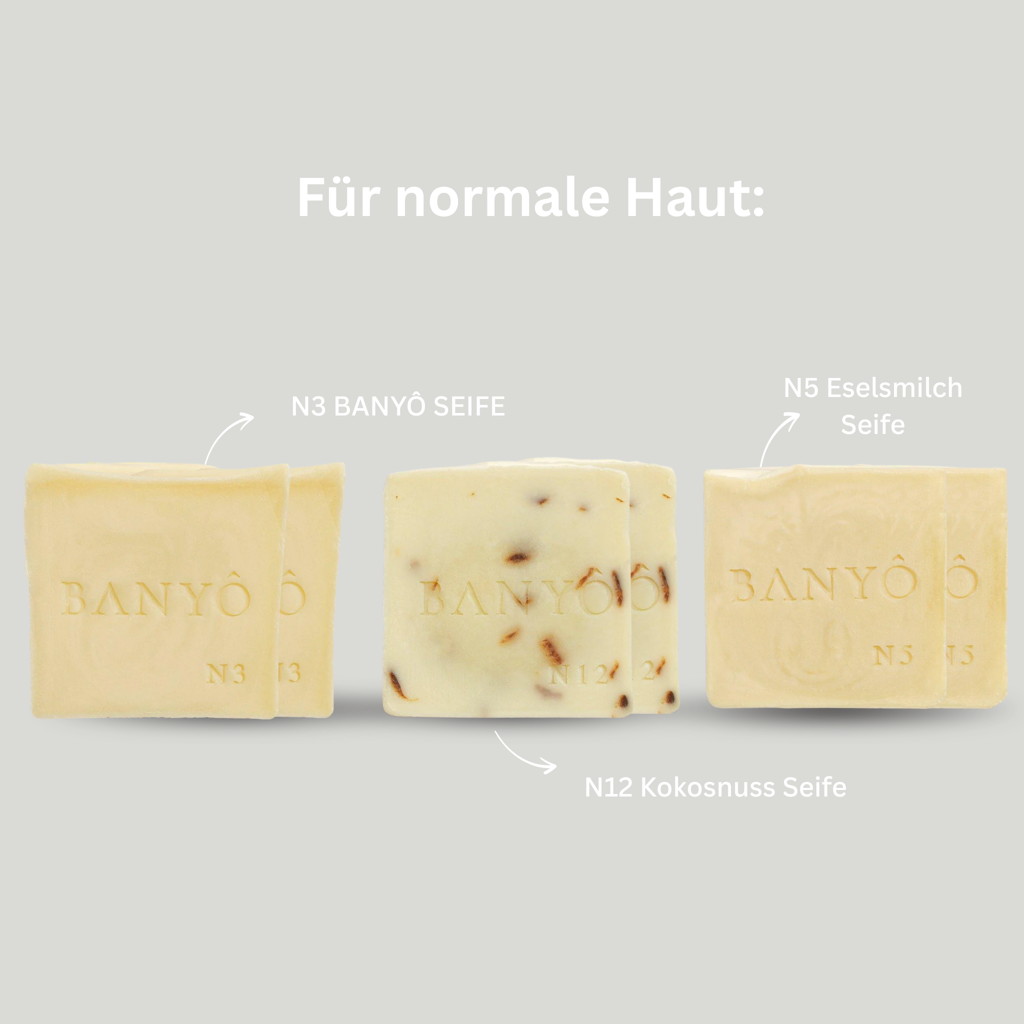 Kaufe 4 + 2 geschenkt!