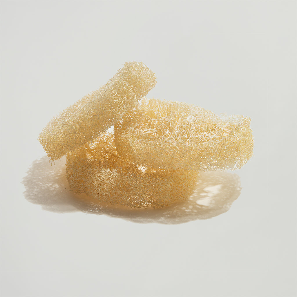 Luffa Schwamm