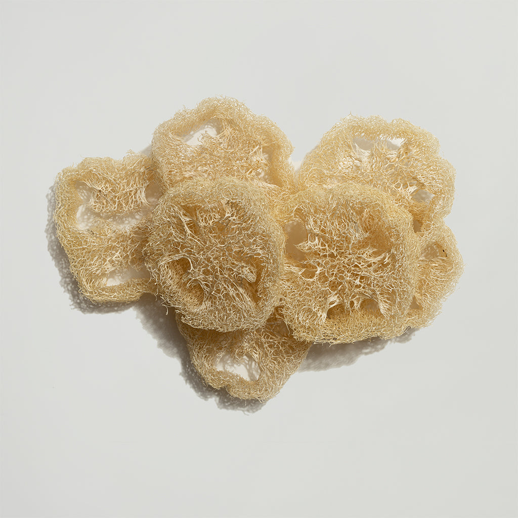 Luffa Schwamm