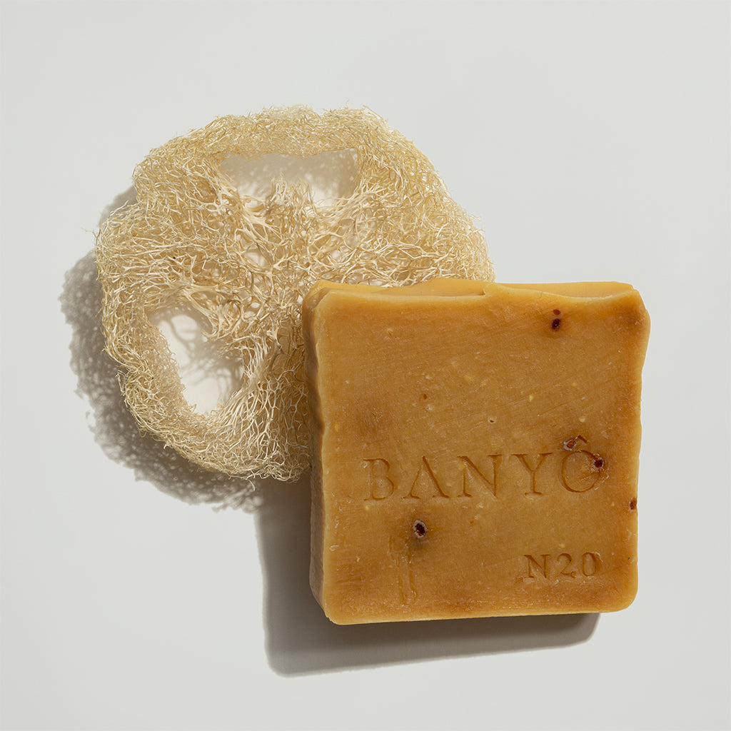 Luffa Schwamm